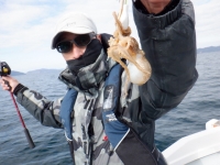 遊漁船 幸友丸 釣果