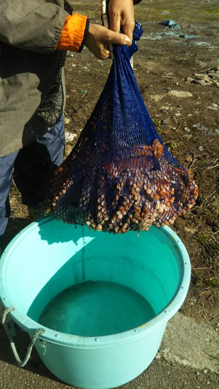 モンロー号 釣果