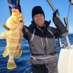 ブルーピア 釣果