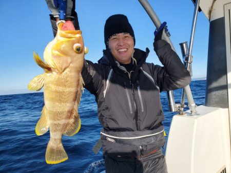 ブルーピア 釣果