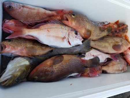 オーフリー 釣果