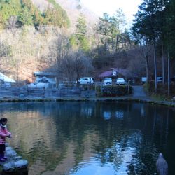 小菅トラウトガーデン 釣果