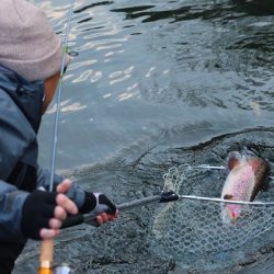 小菅トラウトガーデン 釣果