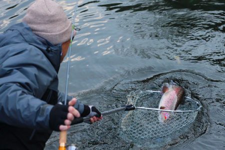 小菅トラウトガーデン 釣果