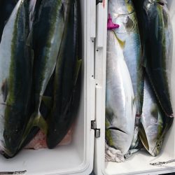 海龍丸（福岡） 釣果