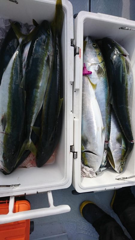 海龍丸（福岡） 釣果