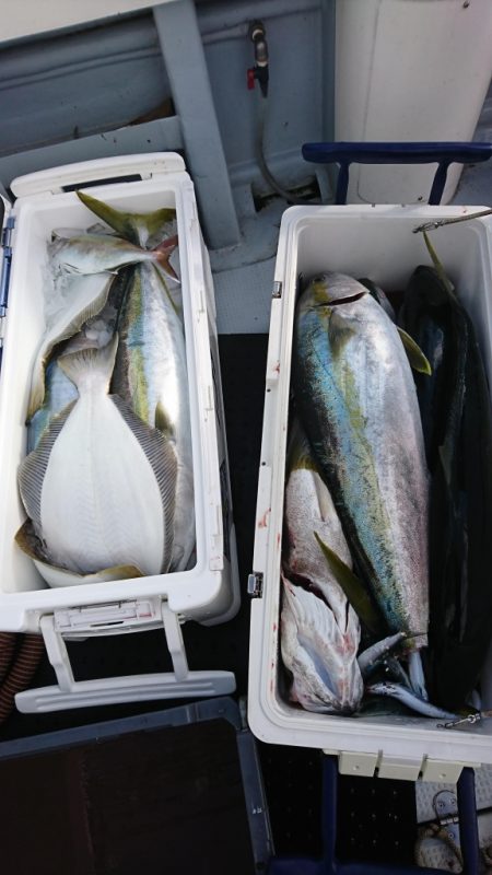 海龍丸（福岡） 釣果