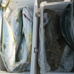 海龍丸（福岡） 釣果