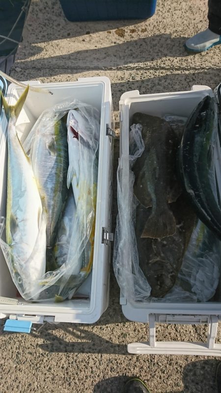 海龍丸（福岡） 釣果