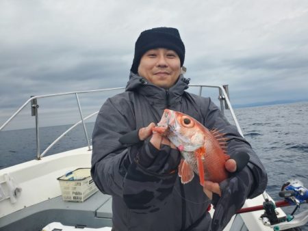 ブルーピア 釣果