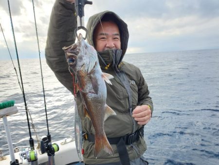 ブルーピア 釣果