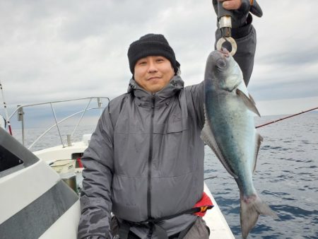 ブルーピア 釣果