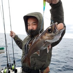 ブルーピア 釣果