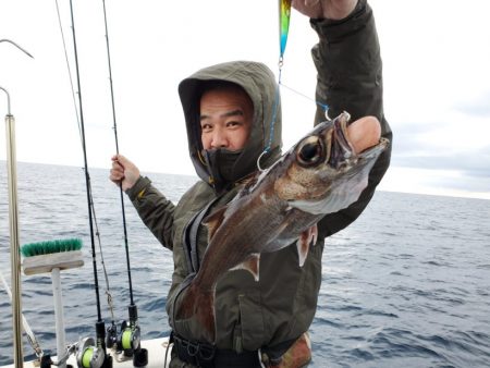 ブルーピア 釣果