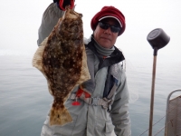 遊漁船 幸友丸 釣果