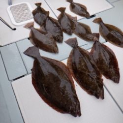 遊漁船 幸友丸 釣果