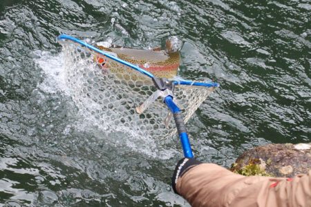 小菅トラウトガーデン 釣果