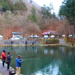 小菅トラウトガーデン 釣果