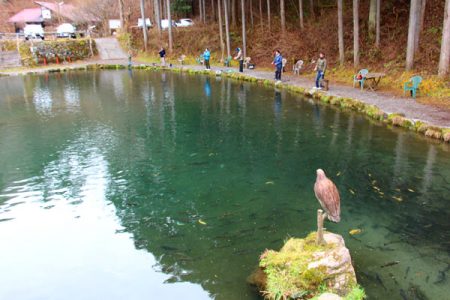 小菅トラウトガーデン 釣果