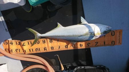 海龍丸（福岡） 釣果