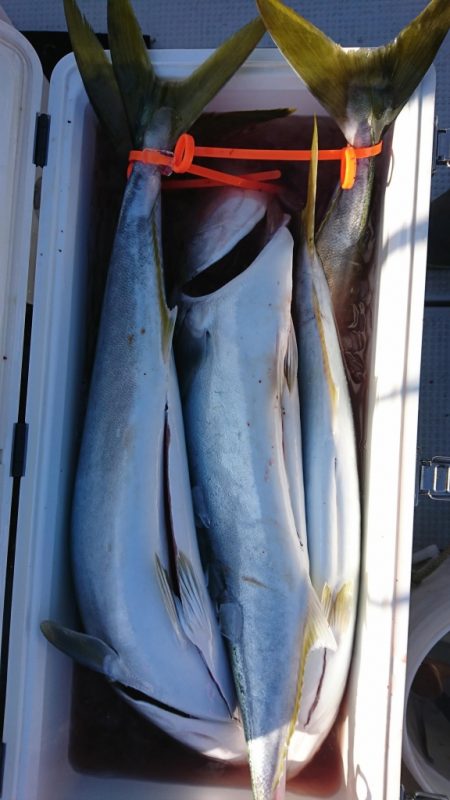 海龍丸（福岡） 釣果