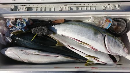 海龍丸（福岡） 釣果