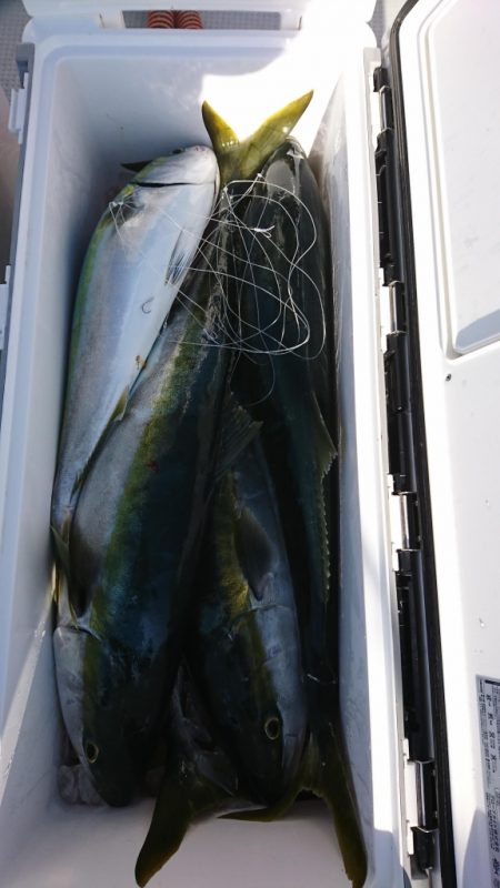 海龍丸（福岡） 釣果