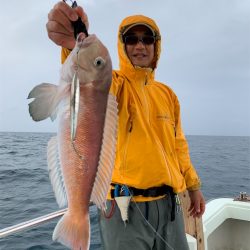 マタウマリンサービス 釣果