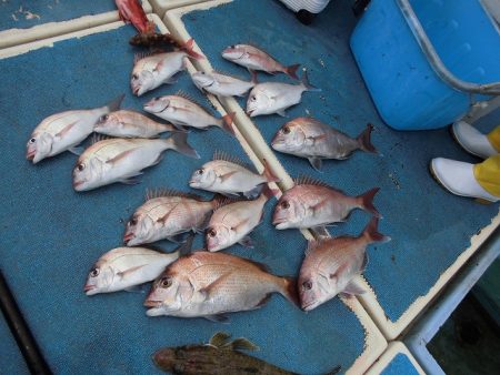 十八宝洋丸 釣果