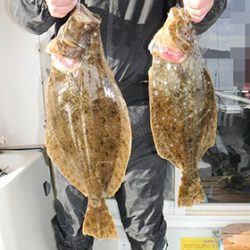 松本釣船２ 釣果