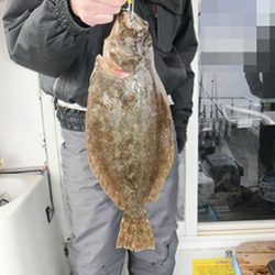 松本釣船２ 釣果