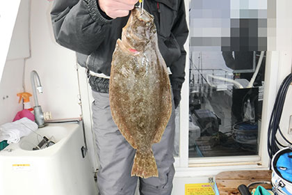 松本釣船２ 釣果