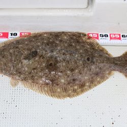 松本釣船２ 釣果