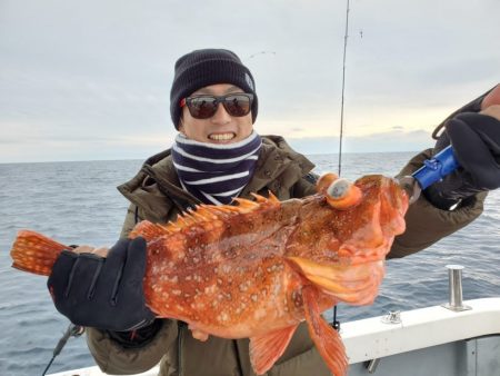 ブルーピア 釣果