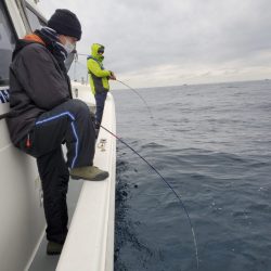 ブルーピア 釣果