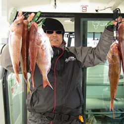 松本釣船２ 釣果
