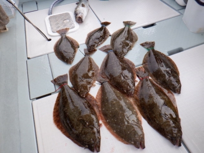 遊漁船 幸友丸 釣果