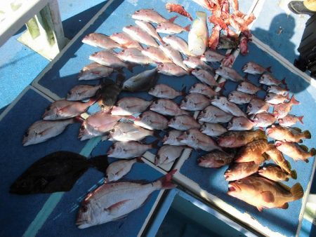 十八宝洋丸 釣果