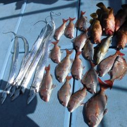 十八宝洋丸 釣果