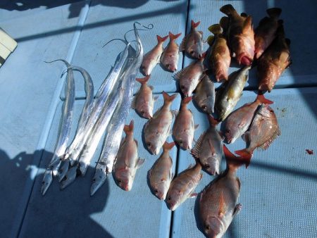 十八宝洋丸 釣果