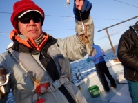 遊漁船 幸友丸 釣果