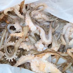 松本釣船２ 釣果