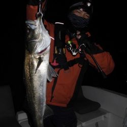 ルアー船マヒマヒ 釣果