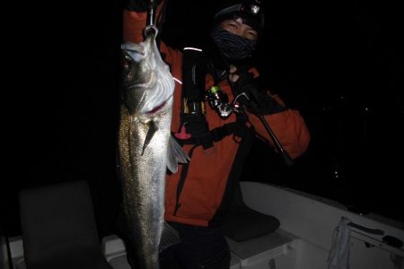 ルアー船マヒマヒ 釣果