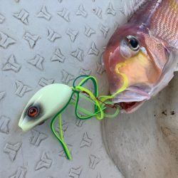 マタウマリンサービス 釣果