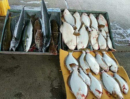 明神釣船 釣果