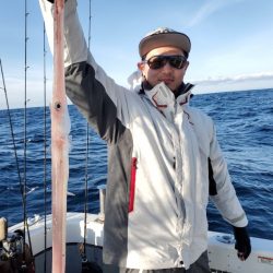 ブルーピア 釣果