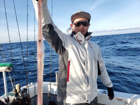 ブルーピア 釣果