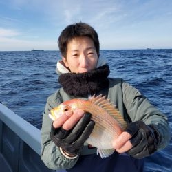 ブルーピア 釣果