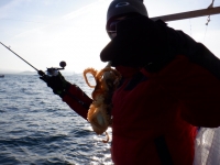 遊漁船 幸友丸 釣果